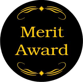 Merit Award 2023