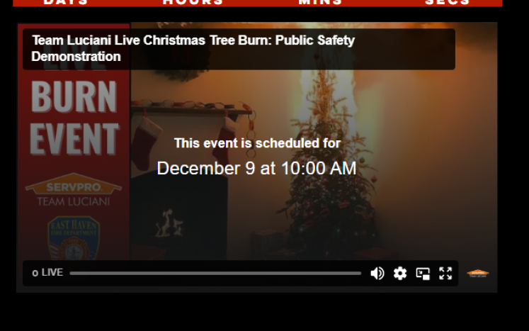 Christmas Tree Live Burn EHFD & SERVPRO - A Public Safety Demonstration 